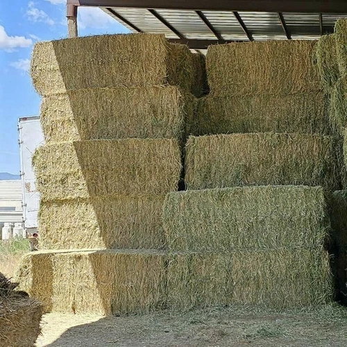 Top-Grade Alfalfa Hay: Superior Quality, Optimal Digestibility for Animals