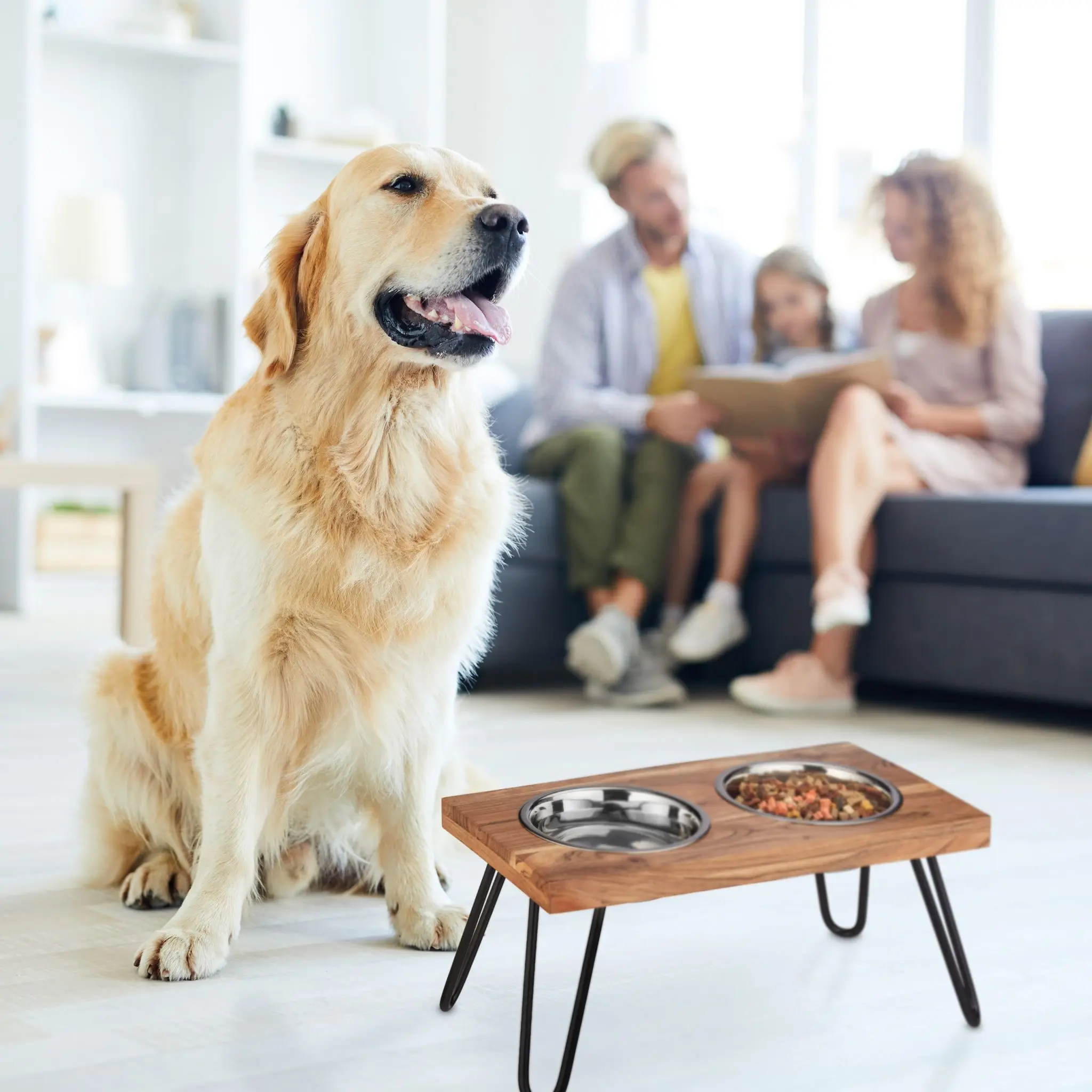 Wholesale Anti Slip Double Stainless Steel Dog Bowl With Stand Mango