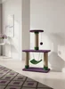 Purple&green