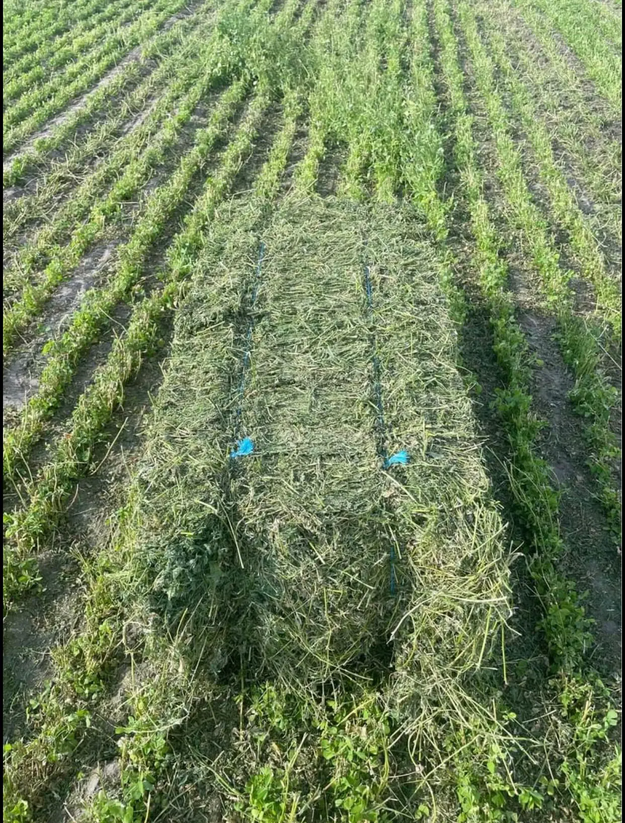 For product pricing, customization, or other inquiries Contact