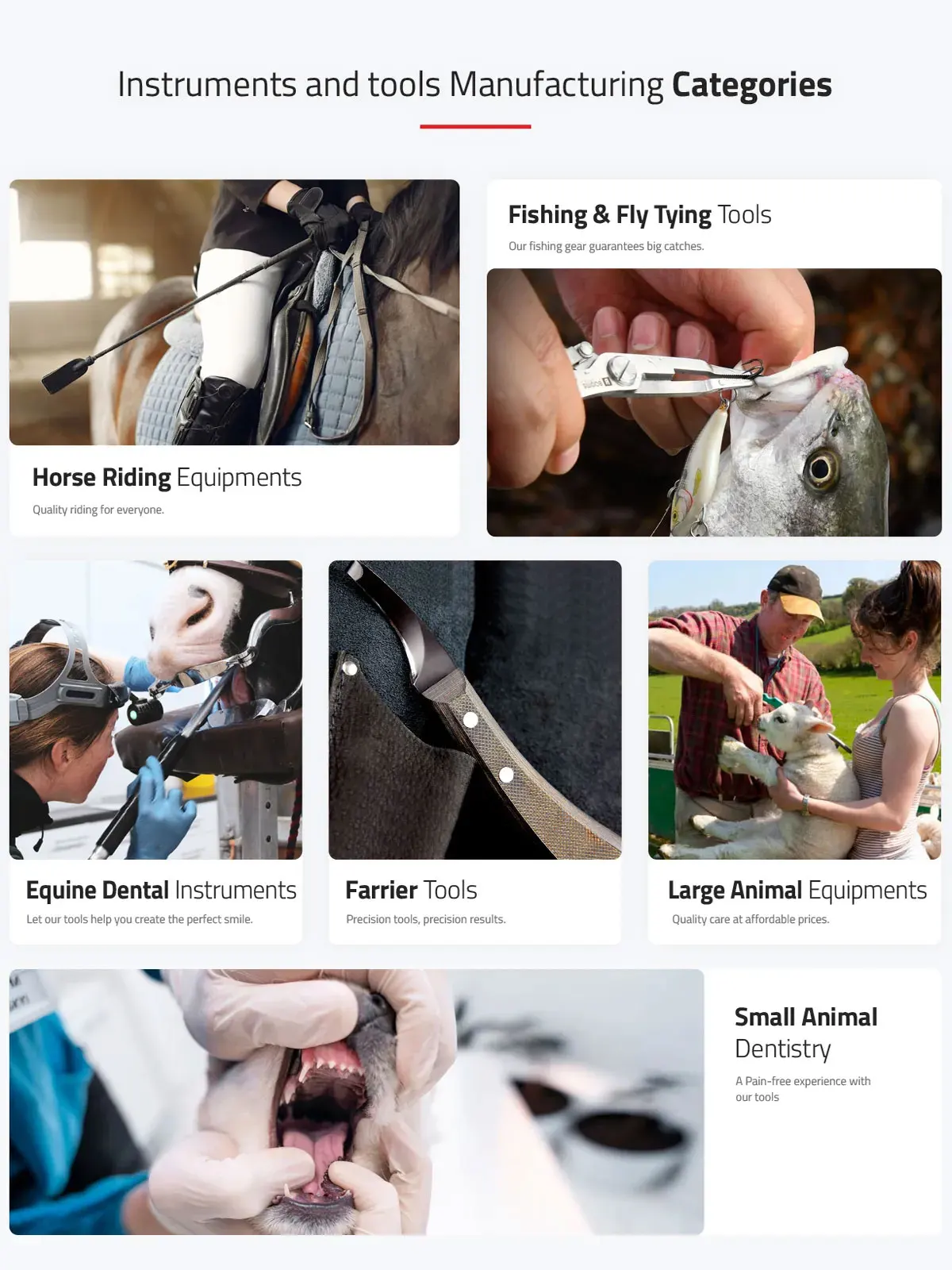 Wholesale 2024 Adjustable Horse Riding Equipment Halter Horse Bridle