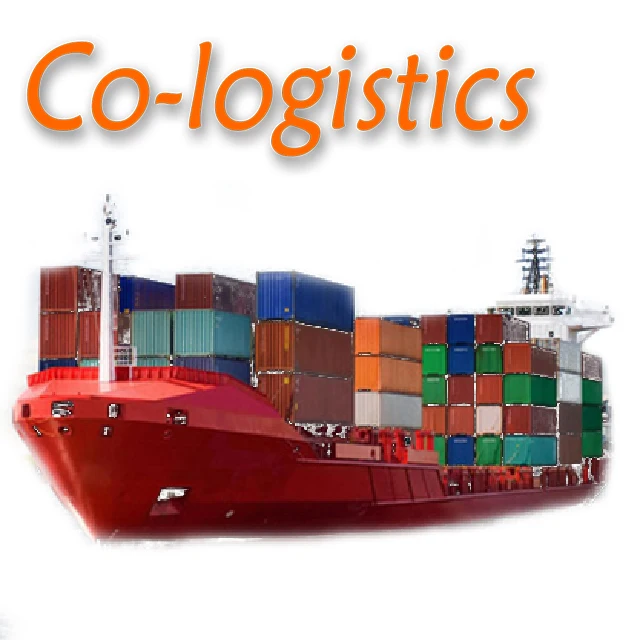 Sea Container 40ft Sea Shipping to France by MSC From China Shanghai Ningbo Xiamen Shenzhen Sea Freight Forwarder