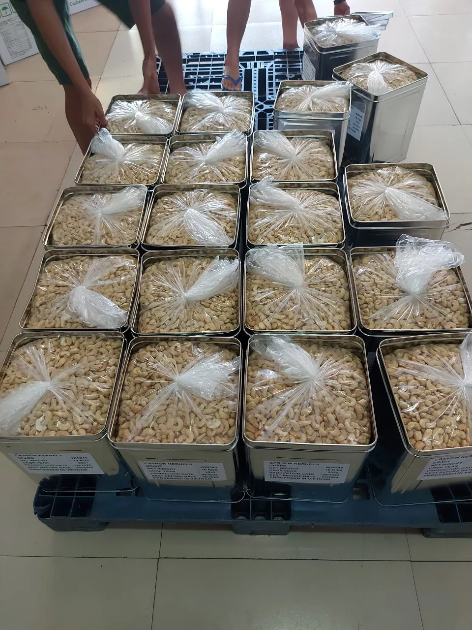 Reasonable Price Nuts & Kernels Cashew Nuts Cashew Vietnam Products Raw Cashew Nuts