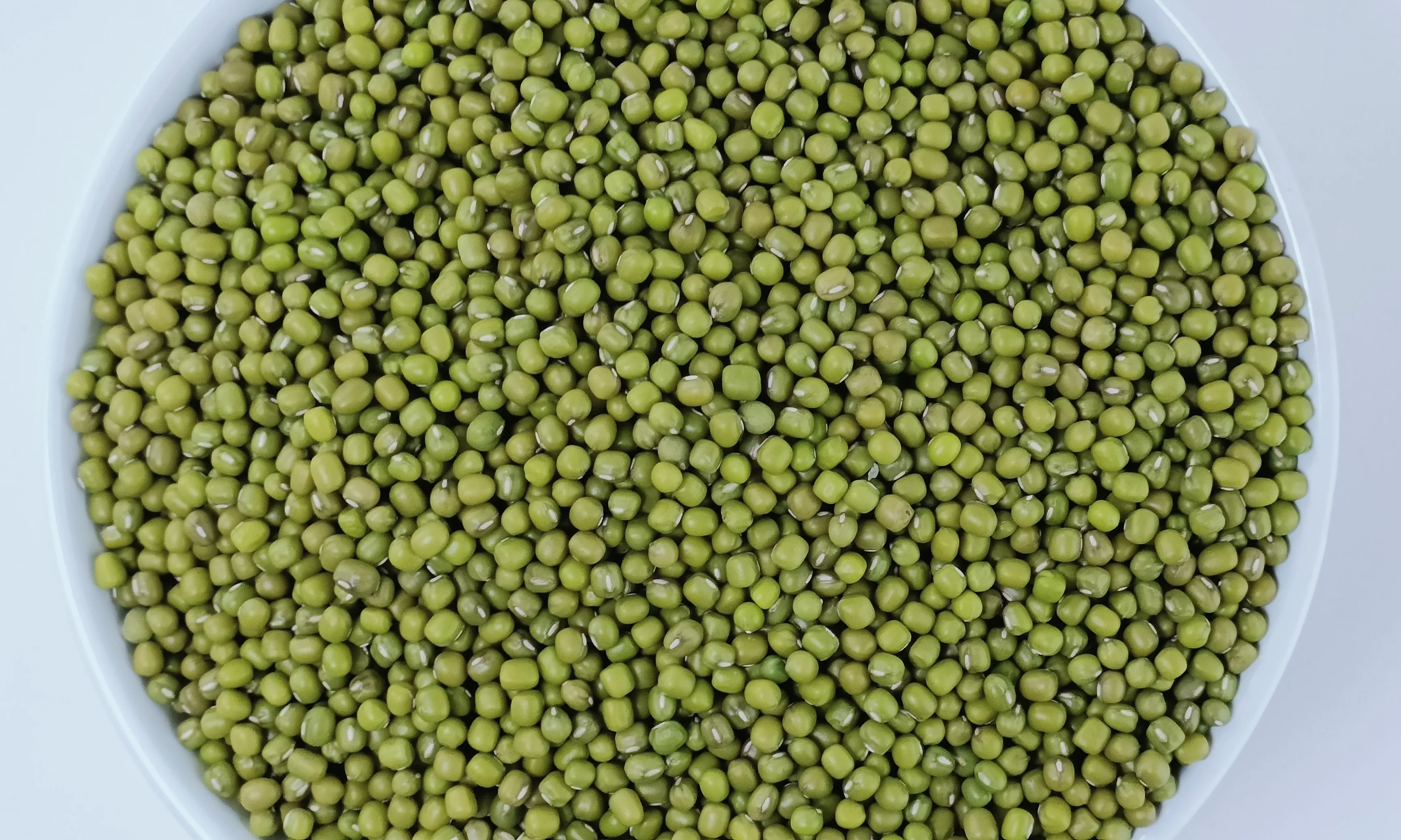 Ethiopian Green Mung Beans 2024 Crop,Bright Green Handpicked And ...