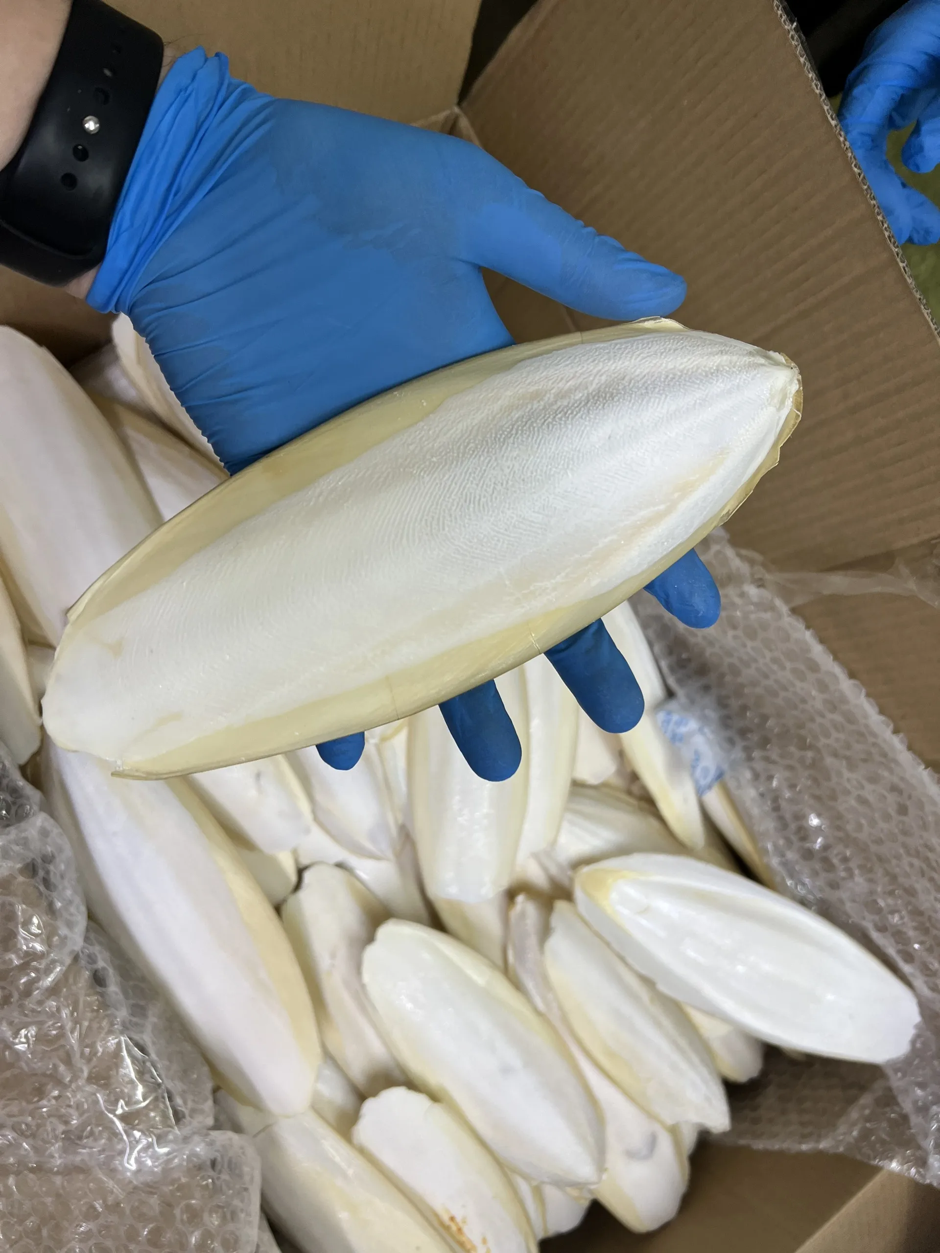 Держатель для костей из Вьетнама/овощей и каракатиц с подставкой попугаев клеток птиц/мс. Лима (+ 84)