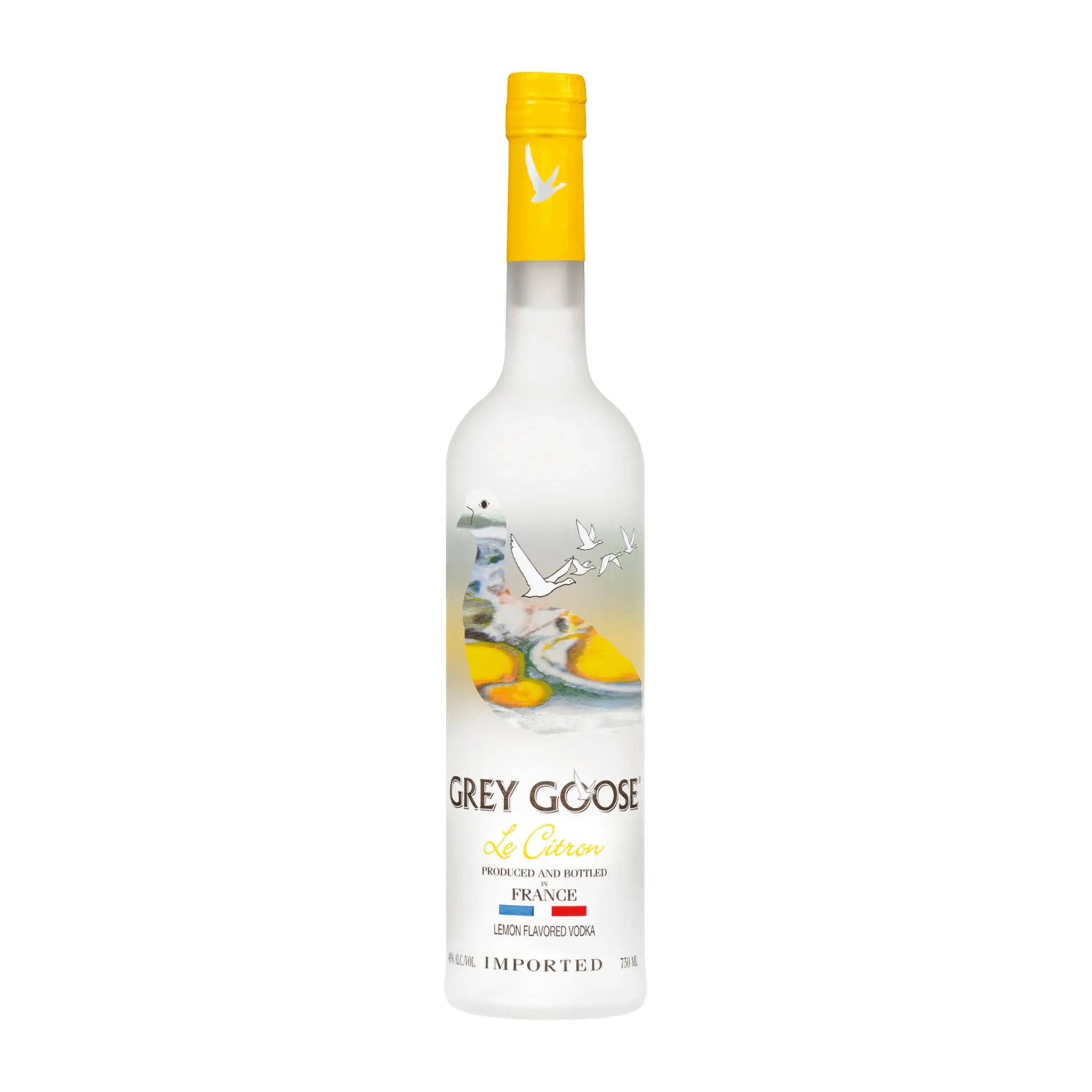 grey goose vodka 3 - Copy.jpg