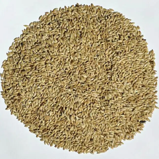 Canary Seed Animal (bird Feed) For Sale At Cheapest Wholesale Price In