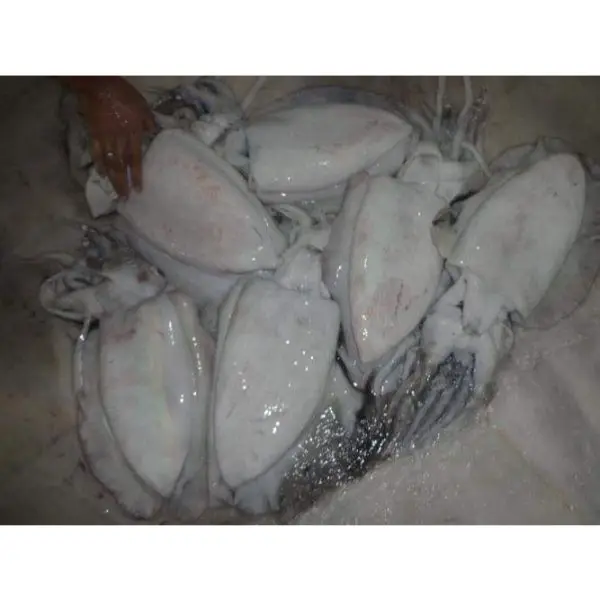 Продажа морской
