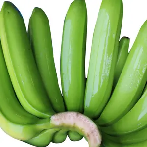 Organic Fresh Cavendish Banana From Vietnam Top Suggestion for Green Certification Boxed in Tropical Style