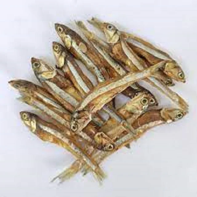 High Nutritive Dry Anchovy Fish/ Dried Anchovy Buy Dried Anchovy