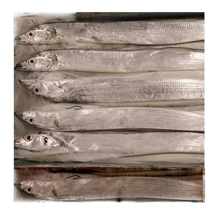 0.05 Max Moisture Fresh Frozen Whole Round Ribbon Fish With Natural