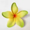 SC02