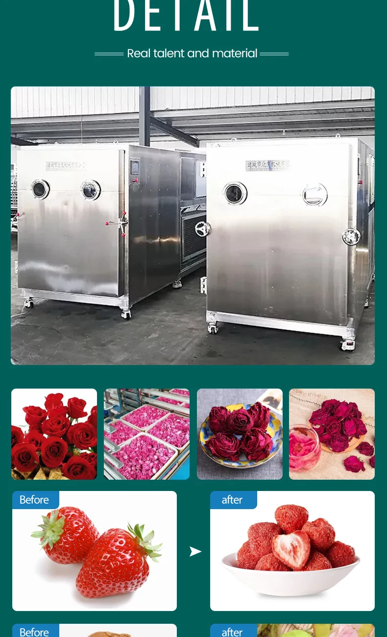 Commerical Freezedryer / Lyophilizer Freeze Dryer 100kg 1500kg Freeze Dryer For Sale Australia