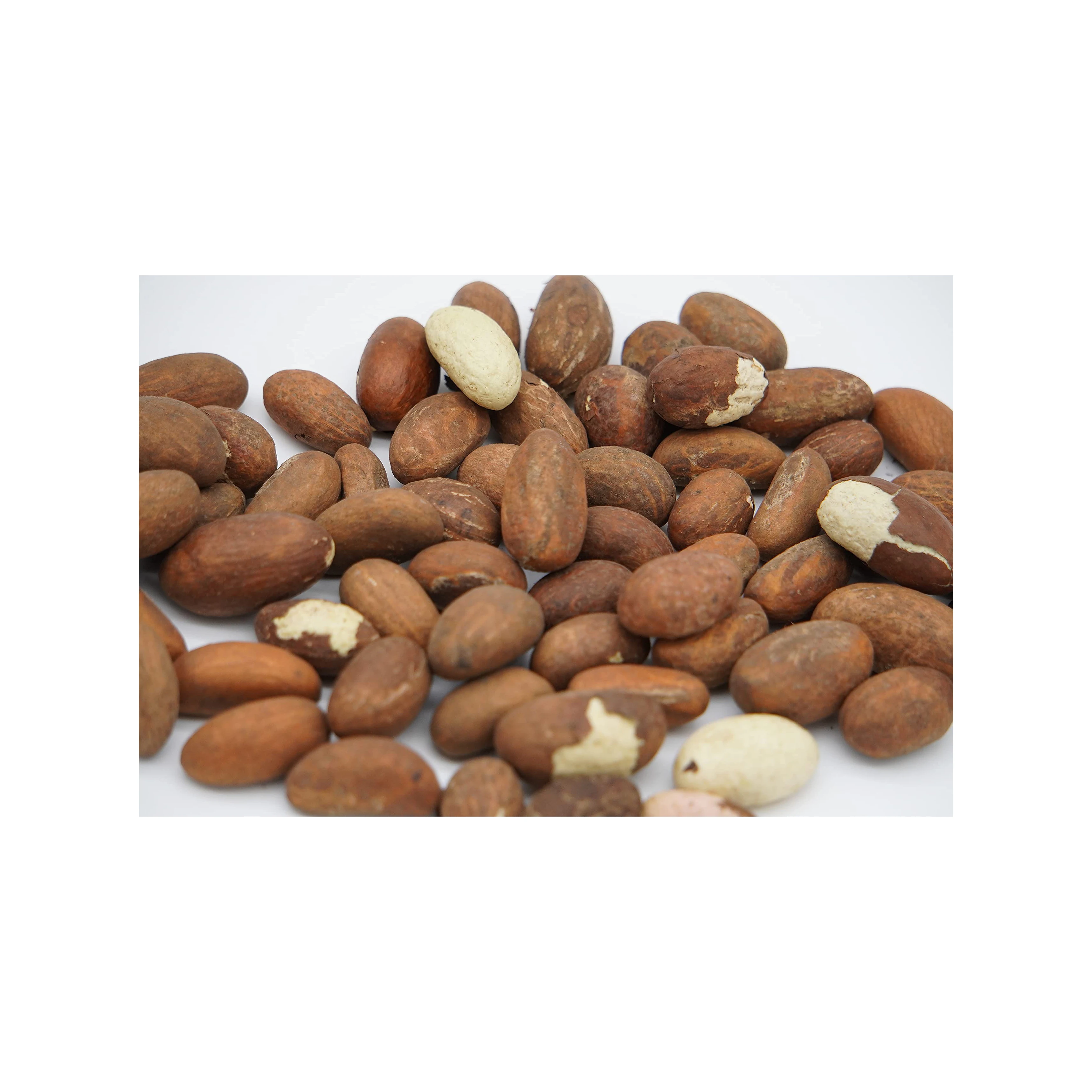 Cheap Healthy Garcinia Kola(bitter Kola) / Fresh Dried Bitter Kola