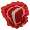 Rojo