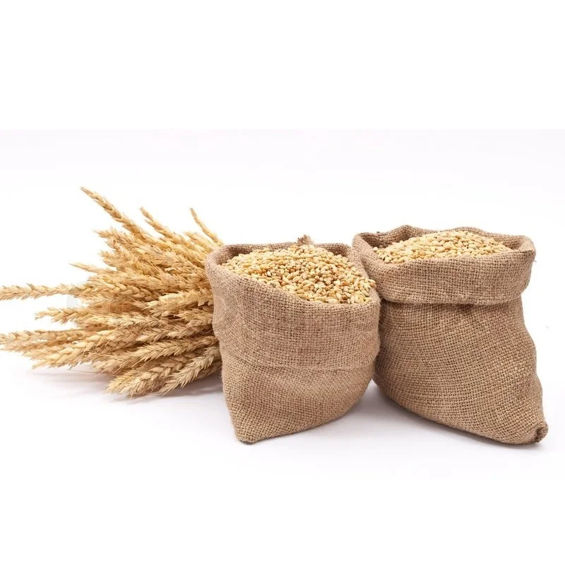Barley.jpeg