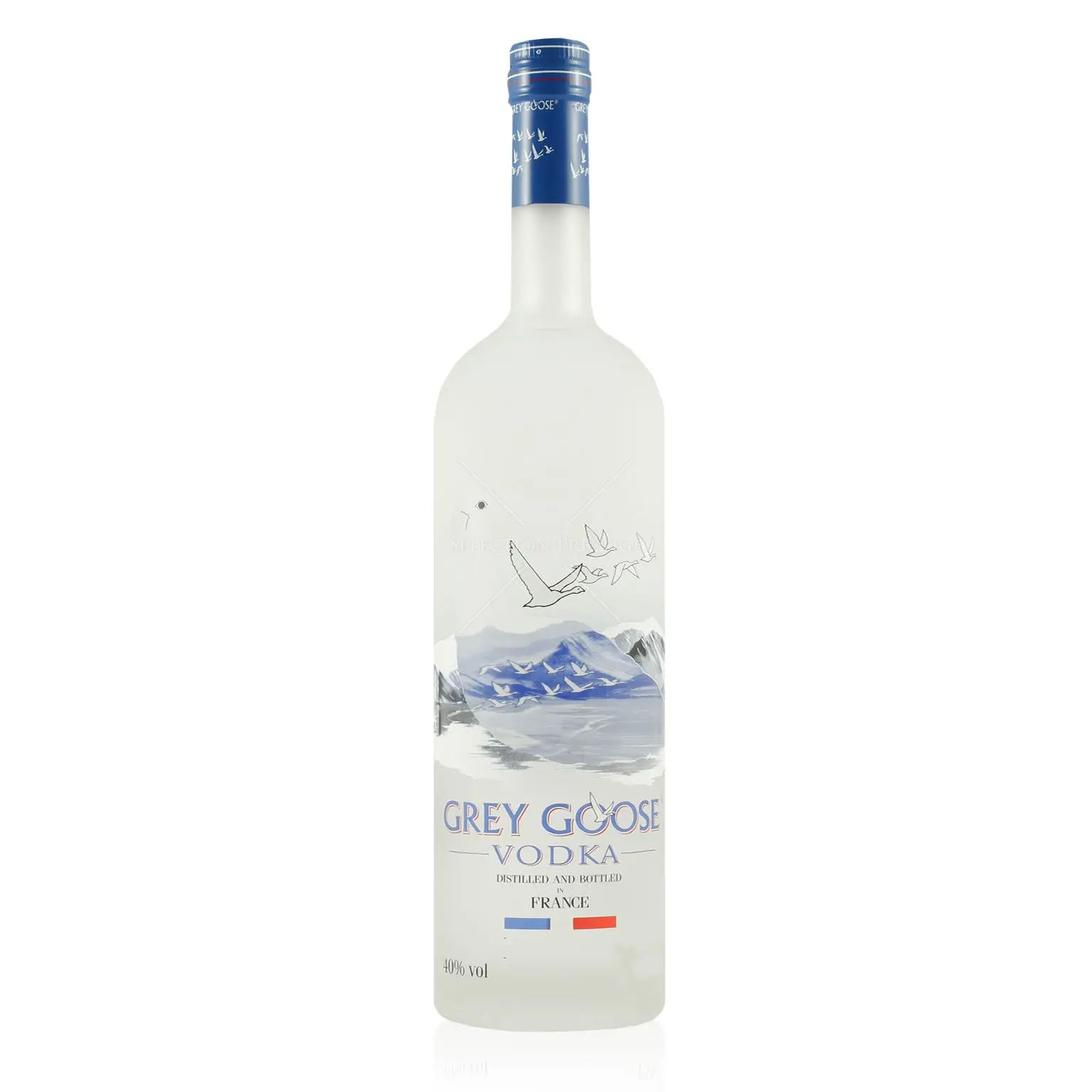 grey goose vodka 1 - Copy.jpg