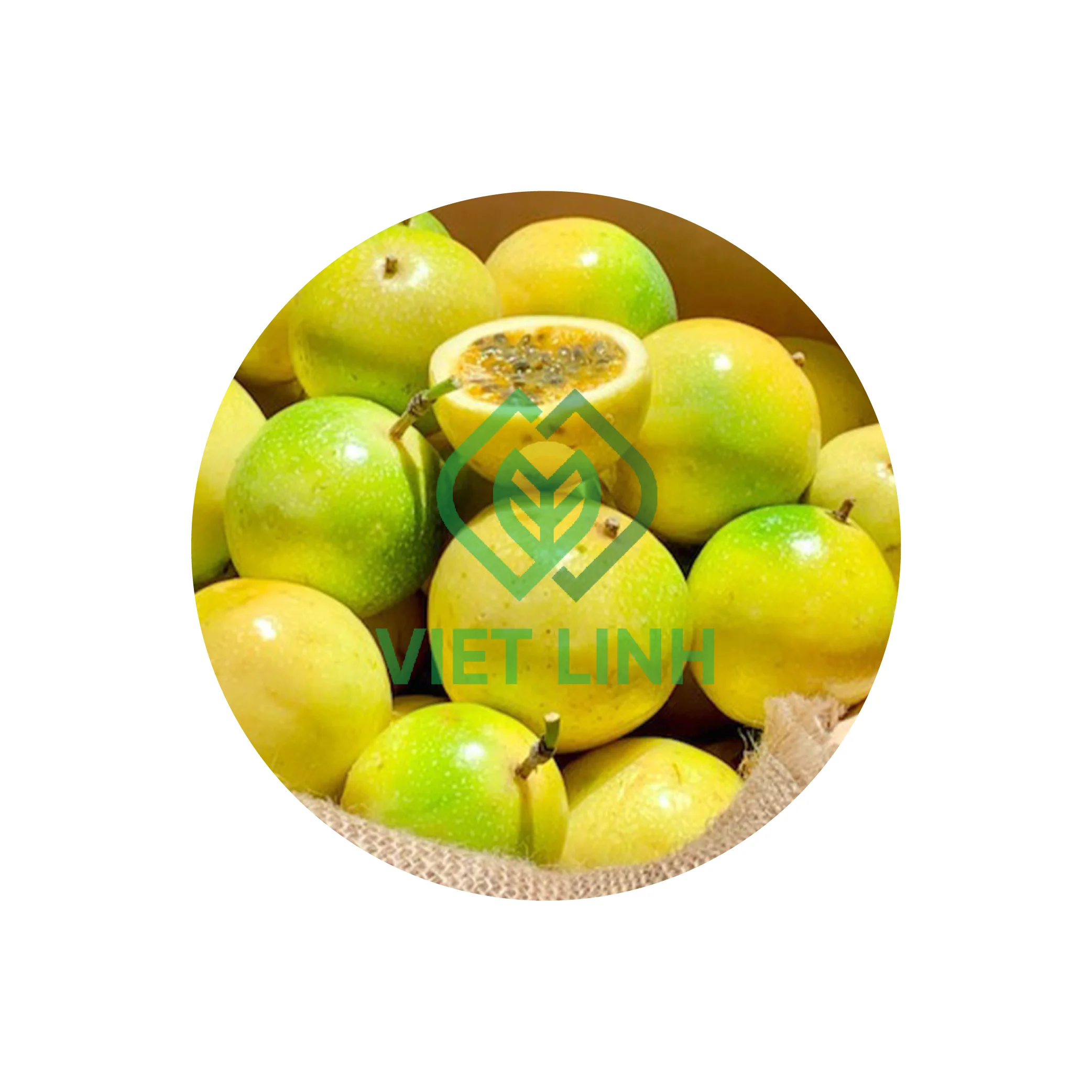 Fresh vietnamese passion fruit natural passion fruit delicious flavor