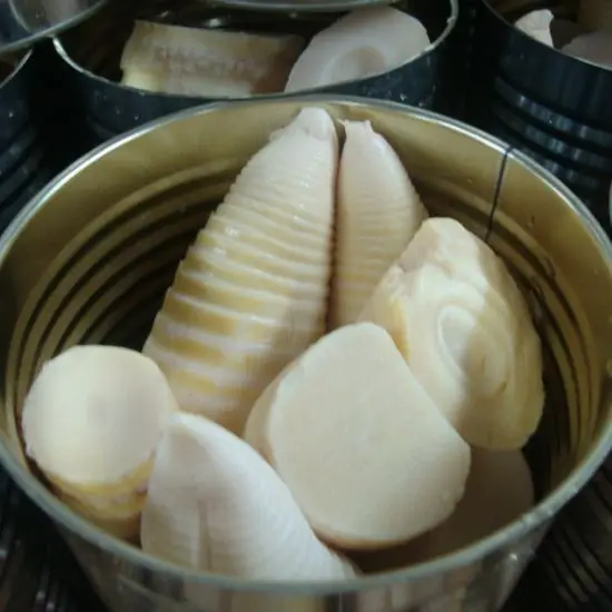 Premium Canned Fresh Bamboo Shoots Whole In Brine Taste Asian Dishes