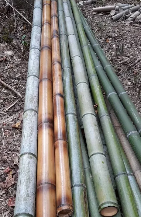Eco-friendly Different Size Bamboo Pole,Raw Bamboo Materials With