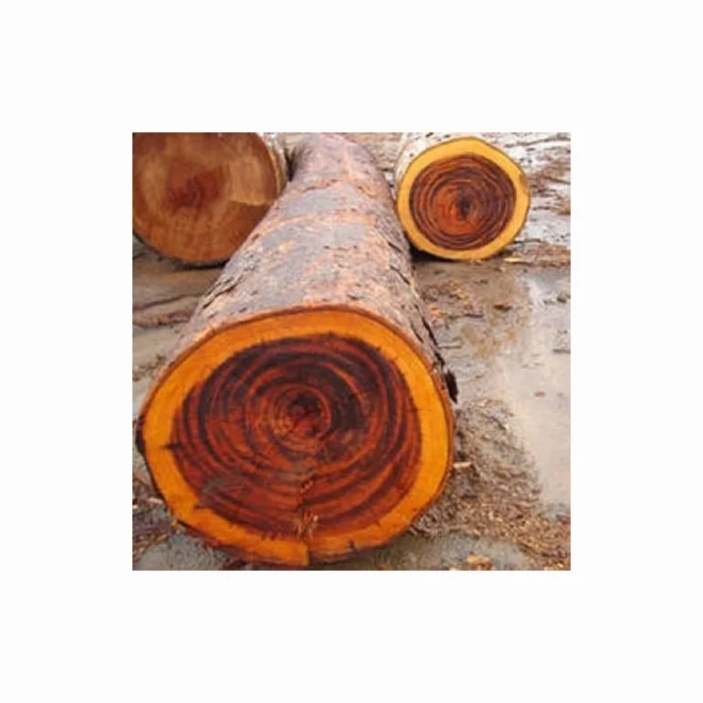 Top Sale High Performance Cypress Hinoki Importers Timber Wood Logs ...