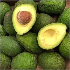 FRESH AVOCADO HASS and FUERTE,Fresh Furte & Hass Avocados FRESH AVOCADO