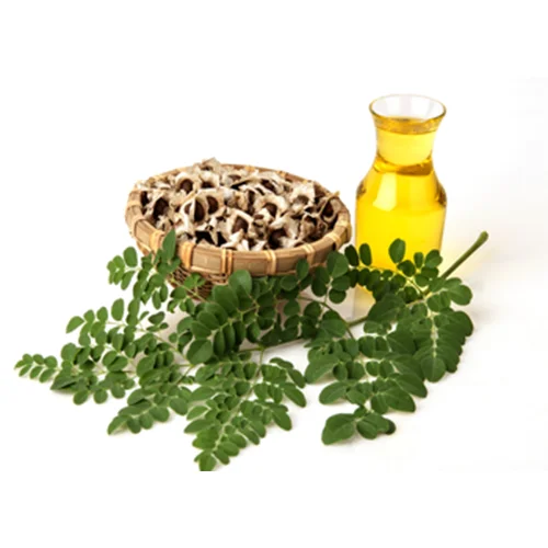Moringa Oleifera Samen/Bulk Moringa Samen besten Preise zum Verkauf|  Alibaba.com