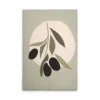 Verde, Crema, Negro