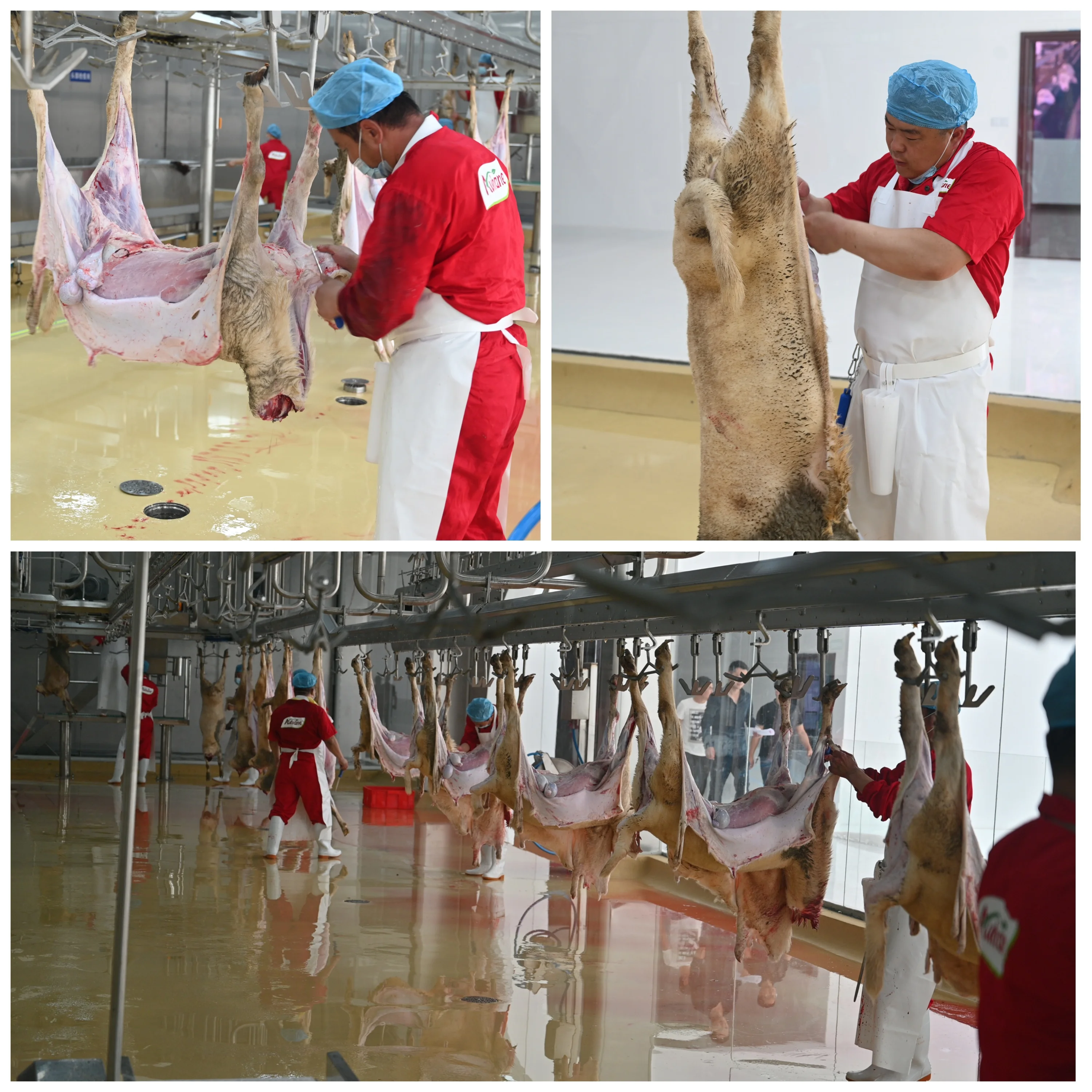 Automatic high performance shrink packaging machine for meat and food processing plants