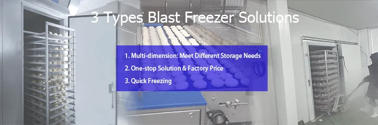 Solution Sushi Quick Freezer, 230V, 0.4 ~ 450KW - detail 2