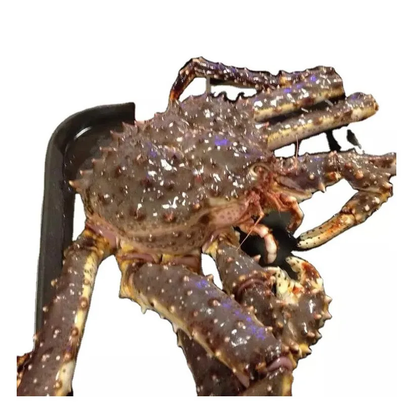 Краб король красный замороженный повар целиком IQF замороженная коробка упаковка