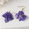 Purple Larkspur