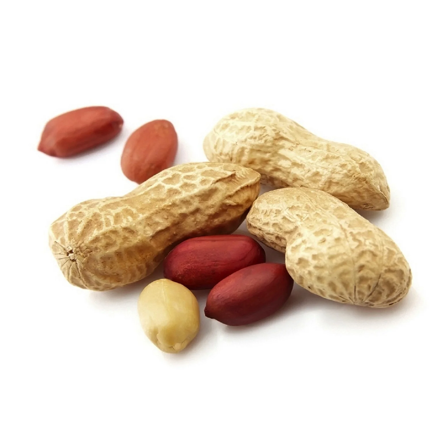 100% Natural Peanuts Raw Peanuts Nuts Without Shell
