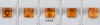 AAAA