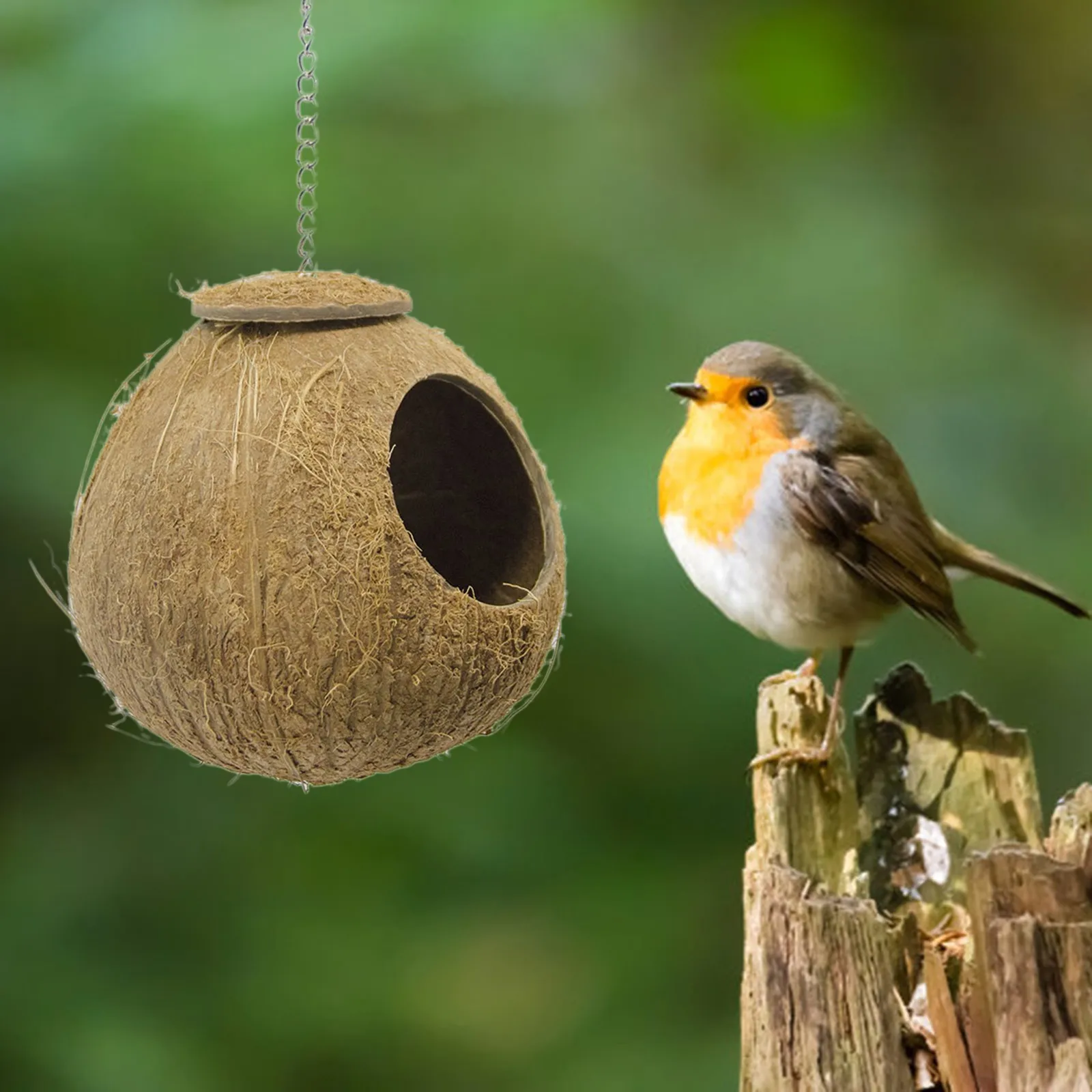 Keebgyy 2 Nidos De Pájaro De Coco, Nido De Pájaros, Cáscara De Coco Cruda, Cáscara De Coco Natural Escondida Para Ocultar Mijo Y Material De Anidación, Pajarera Para Decoración Del Hogar