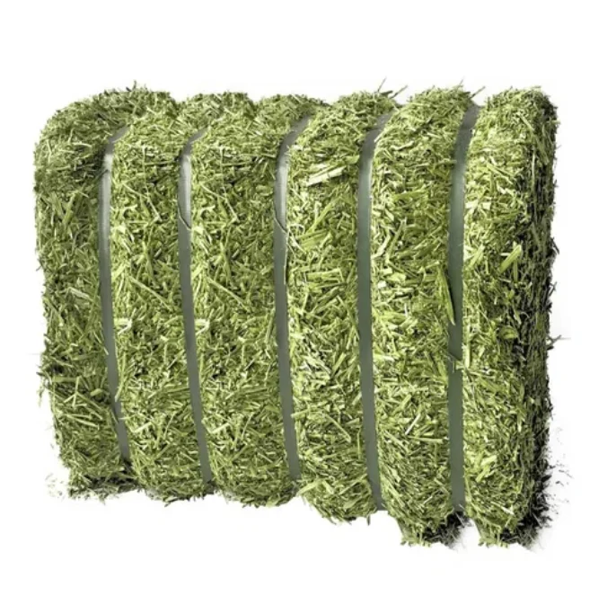 Picture of Top Quality Timothy Hay Alfafa Hay Available For Nourishing Animals ...