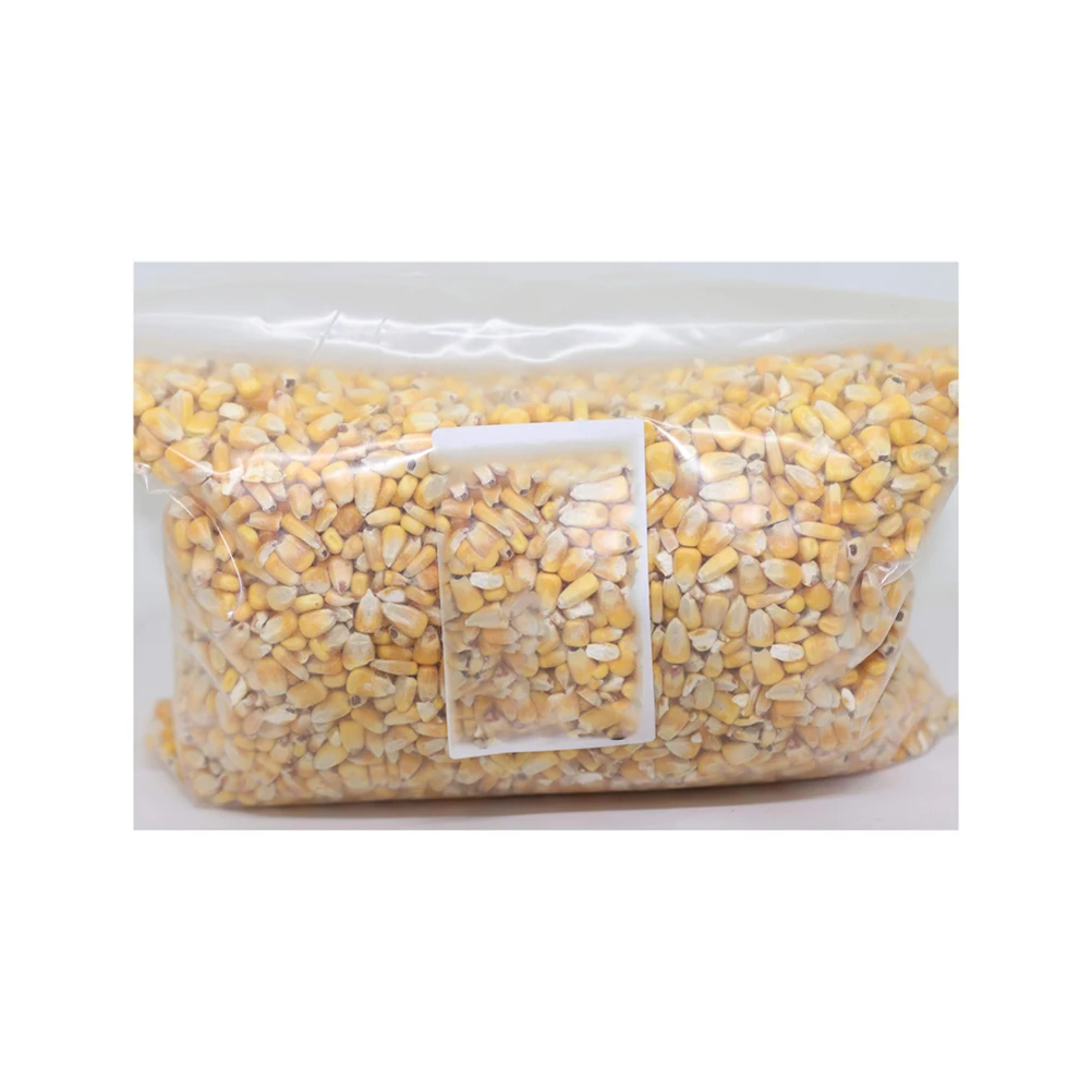 Yellow Corn And White Corn/ Yellow Maize For Animal Feed Buy Yellow