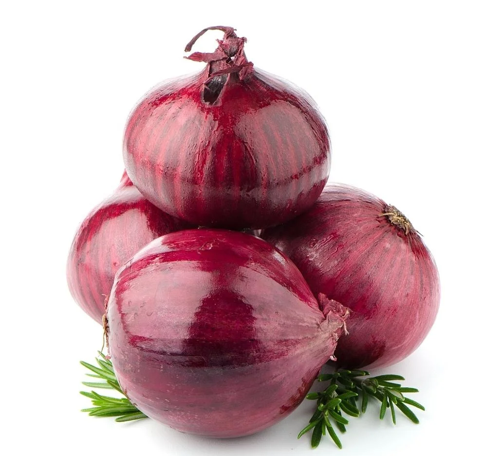 Quality Fresh Red Onion/fresh Yellow Onion For Export At Cheap Price