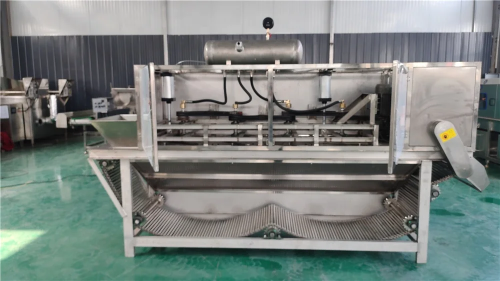 Potato Powder Processing Line Garlic Powder Line Garlic Peeler Machine details