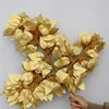 Single Stem Golden banyan tree branches