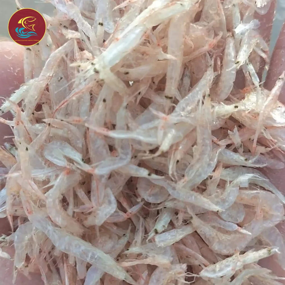 Best Price Dehydrated Tiny Shrimp Prawn Food Topping From Vietnam Wholesale Seafood Baby Shrimp
