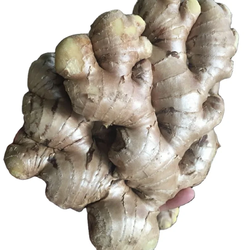 2024 New Arrival!Fresh Air Dried Ginger,supply in 40'' reefer container ginger Austria fresh ginger jars