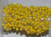 Amarillo