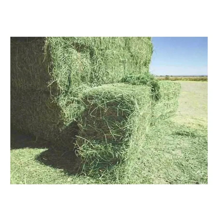 Hot Sale Animal Feed Timothy Grass Hay Bales For Sale/buy 150 Kg Bales