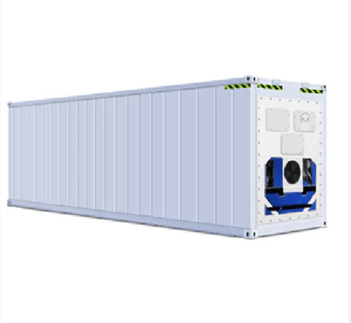 20ft Reefer Container Refrigerated Container With Thermo King Cooler ...