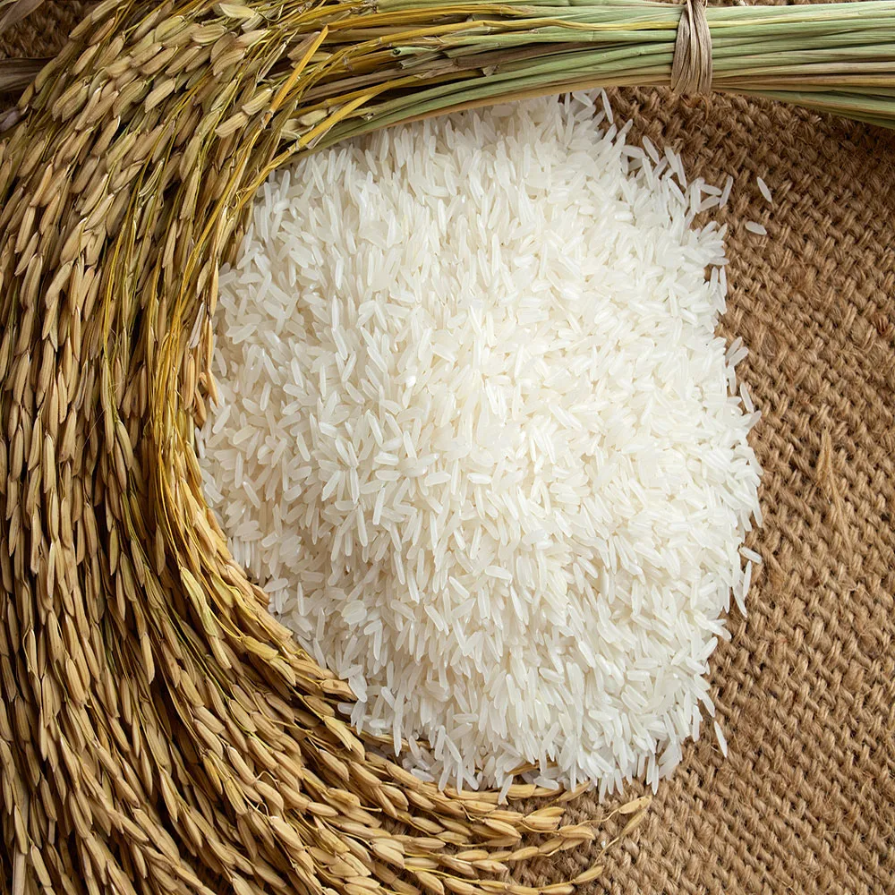Jasmine rice2.jpg