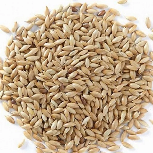 Canary Seed Animal (bird Feed) For Sale At Cheapest Wholesale Price In