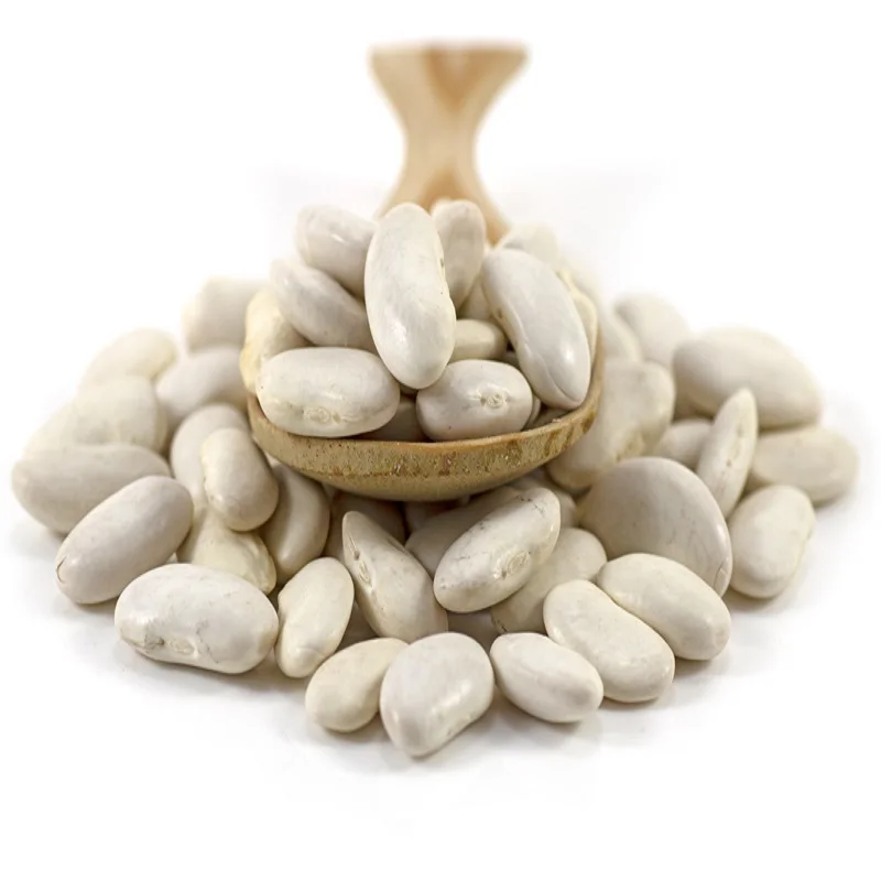 New Crop Wholesale Natural White Kidney Beans Hot Selling Dried Beans for Food Bulk Packaging