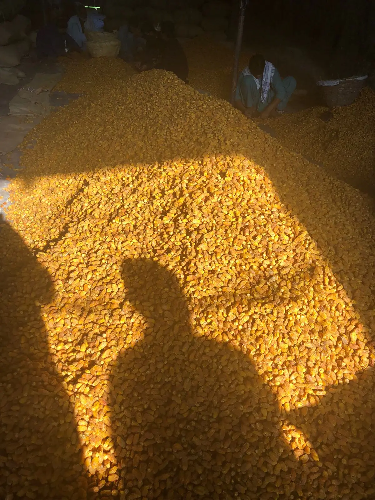 bulk dry dates.jpg