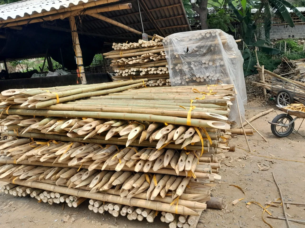 Garden Dried Bamboo Cane Bamboo Stick Bamboo Pole For Plantin/bamboo